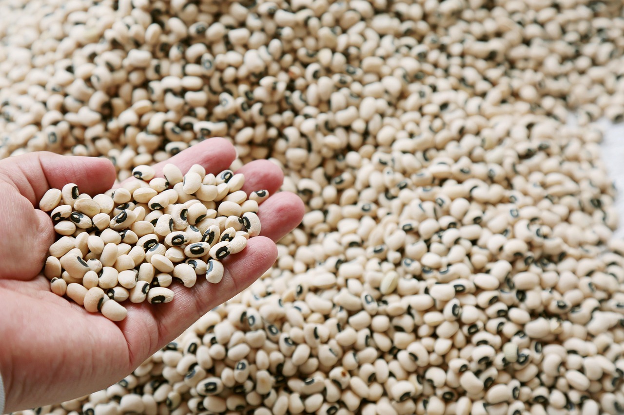 Wholesale Grain Trading Banner